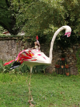 Le flamant masqué et sa femme pirate.